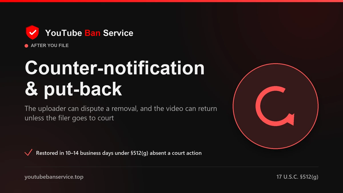 YouTube takedown counter-notification and put-back window under section 512(g) of the DMCA